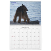 Kalender Walisers Terrier 2013 durch Darwyn (Mär 2026)