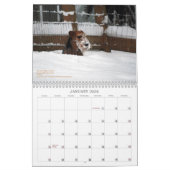 Kalender Walisers Terrier 2013 durch Darwyn (Jan 2026)