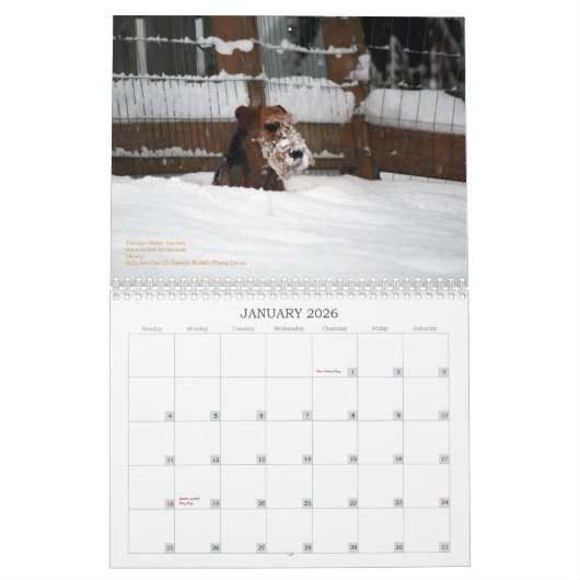 Kalender Walisers Terrier 2013 durch Darwyn (Jan 2026)