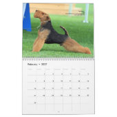 Kalender Walisers Terrier 2014 durch Darwyn (Feb 2027)