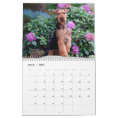 Kalender Walisers Terrier 2014 durch Darwyn (Mär 2027)