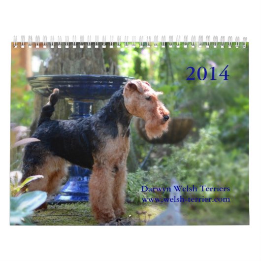Kalender Walisers Terrier 2014 durch Darwyn (Titelbild)