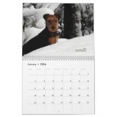 Kalender Walisers Terrier 2014 durch Darwyn (Jan 2026)