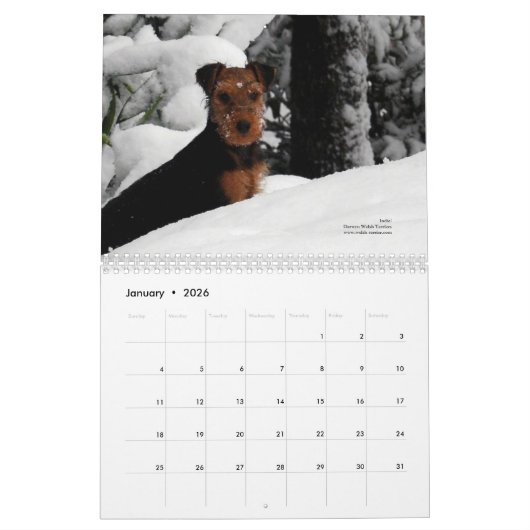 Kalender Walisers Terrier 2014 durch Darwyn (Jan 2026)