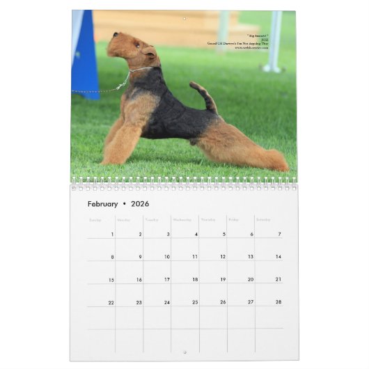 Kalender Walisers Terrier 2014 durch Darwyn (Feb 2026)