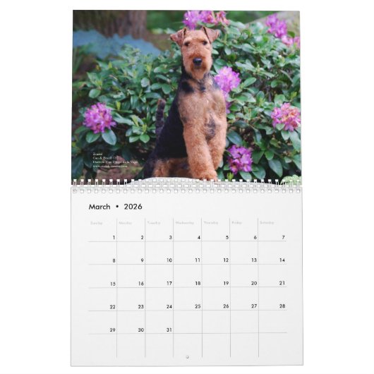 Kalender Walisers Terrier 2014 durch Darwyn (Mär 2026)