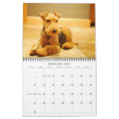 Kalender Walisers Terrier 2015 durch Darwyn (Feb 2027)