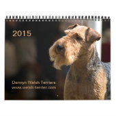 Kalender Walisers Terrier 2015 durch Darwyn (Titelbild)