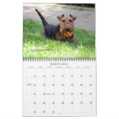 Kalender Walisers Terrier 2015 durch Darwyn (Mär 2026)