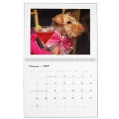 Kalender Walisers Terrier 2015 durch SBWT (Feb 2027)