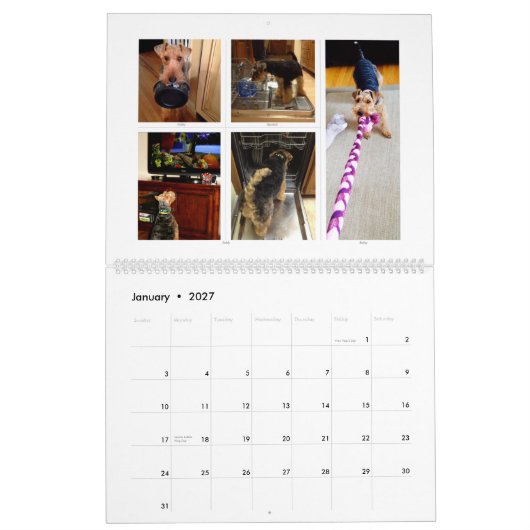 Kalender Walisers Terrier 2015 durch SBWT (Jan 2027)