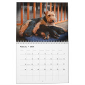 Kalender Walisers Terrier 2017 durch Darwyn (Feb 2026)