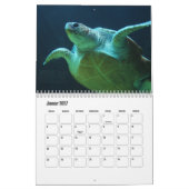 Kalender-Wasserschildkröten Kalender (Jan 2027)