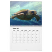 Kalender-Wasserschildkröten Kalender (Feb 2027)