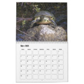 Kalender-Wasserschildkröten Kalender (Mär 2026)