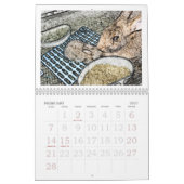 Kalender Weedscapes Häschen-2011 (Feb 2027)