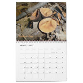 Kalender Weiße Pilze (Jan 2027)