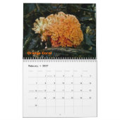 Kalender Weiße Pilze (Feb 2027)