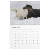 Kalender Welpenkalender Zuhause Wall Dog (Jan 2027)