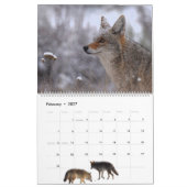 Kalender 'Wild at Last' 2026 (Feb 2027)