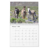 Kalender, wild lebende Tiere, wilde Burros, Esel Kalender (Feb 2026)