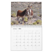 Kalender, wild lebende Tiere, wilde Burros, Esel Kalender (Jan 2026)
