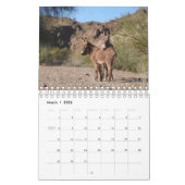 Kalender, wild lebende Tiere, wilde Burros, Esel Kalender (Mär 2026)