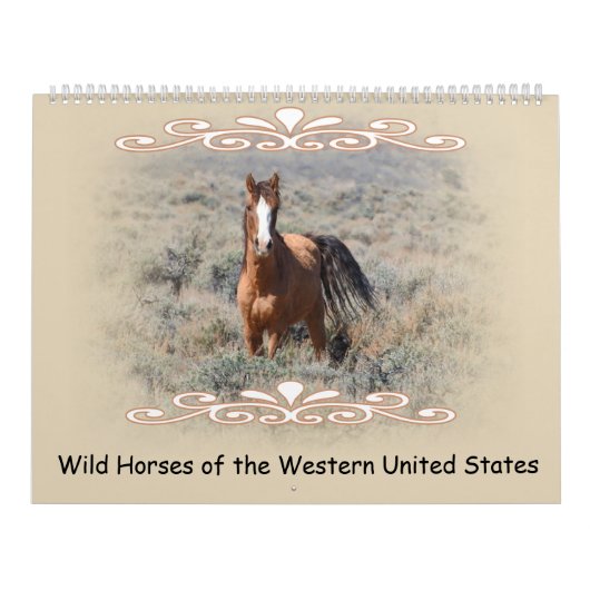 Kalender, wild lebende Tiere, wilde Pferde, Kalender (Titelbild)