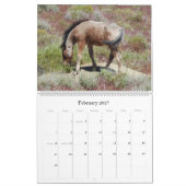 Kalender, wild lebende Tiere, wilde Pferde, Kalender (Feb 2027)