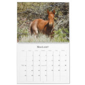 Kalender, wild lebende Tiere, wilde Pferde, Kalender (Mär 2027)