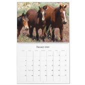 Kalender, wild lebende Tiere, wilde Pferde, Kalender (Jan 2026)