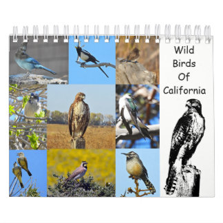 Kalender, wild lebende Tiere, wilde Vögel von Kalender