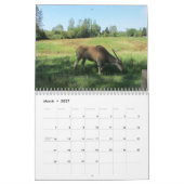Kalender wild lebender Tiere (Mär 2027)