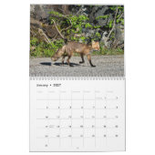 Kalender wild lebender Tiere (Jan 2027)