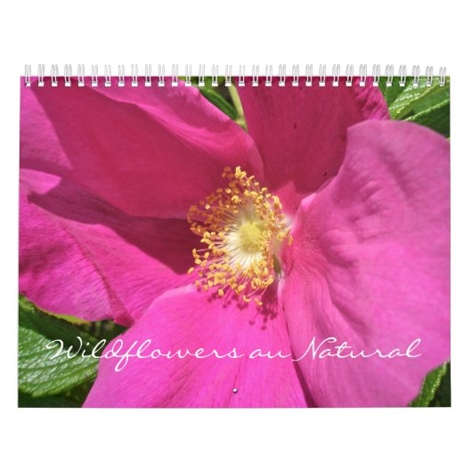 Kalender - Wildblumen (Titelbild)