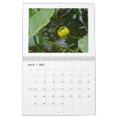 Kalender - Wildblumen (Mär 2027)