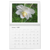 Kalender - Wildblumen (Jan 2027)