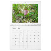 Kalender - Wildblumen (Feb 2027)