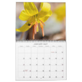 Kalender ~ Wildblumen Galore (Jan 2027)