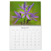 Kalender - Wildblumen - Makroansicht (Jan 2027)