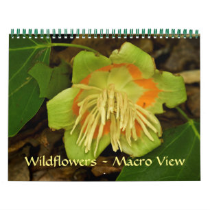 Kalender - Wildblumen - Makroansicht