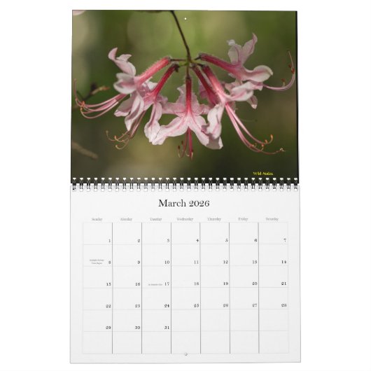 Kalender - Wildblumen - Makroansicht (Mär 2026)