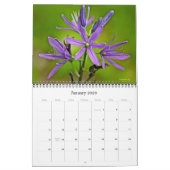 Kalender - Wildblumen - Makroansicht (Jan 2026)