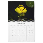 Kalender - Wildblumen - Makroansicht (Feb 2026)