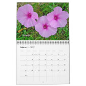 Kalender - Wildblumen Nr. 2 (Feb 2027)