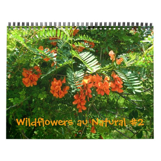 Kalender - Wildblumen Nr. 2 (Titelbild)