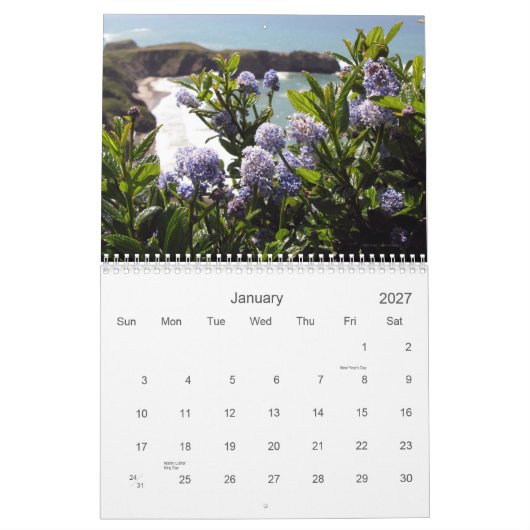 Kalender WildblumeVistas 2012 (Jan 2027)