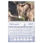 Kalender, Wilde Burros der Wüste Südwesten Kalender (Feb 2027)