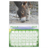 Kalender, Wilde Burros der Wüste Südwesten Kalender (Mär 2027)