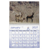 Kalender, Wilde Burros der Wüste Südwesten Kalender (Jan 2027)